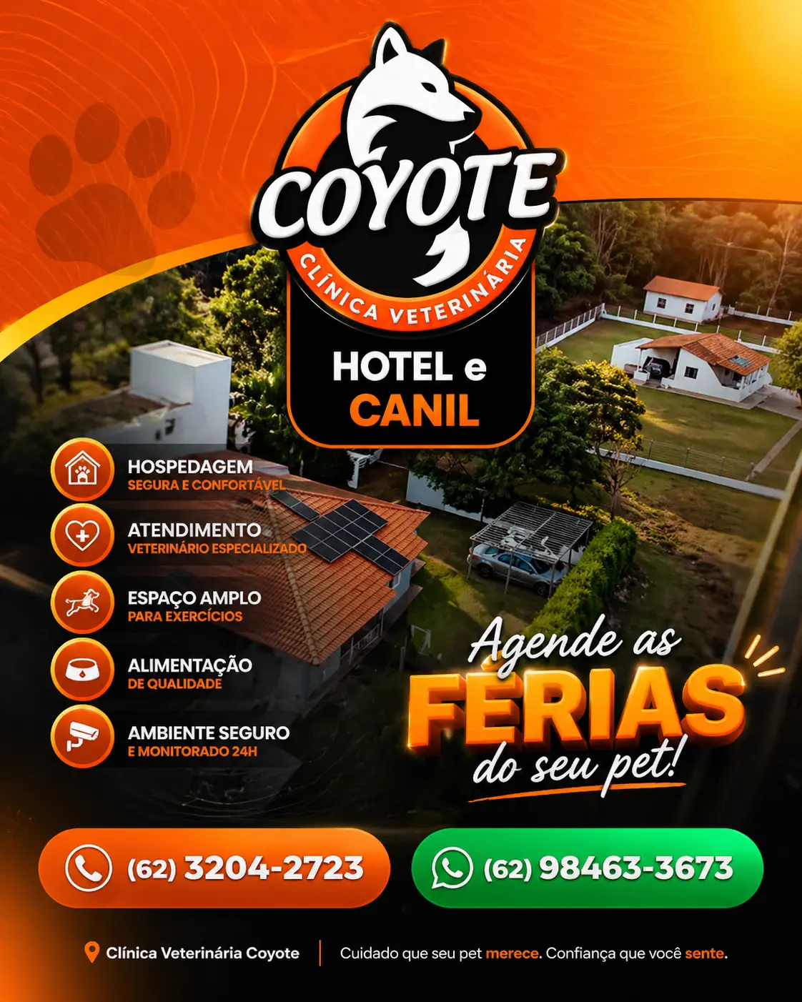 Coyote1